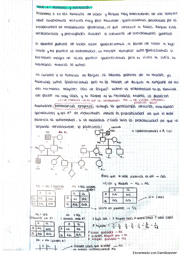 Miniatura del documento Serie-2-genetica-corregida.pdf