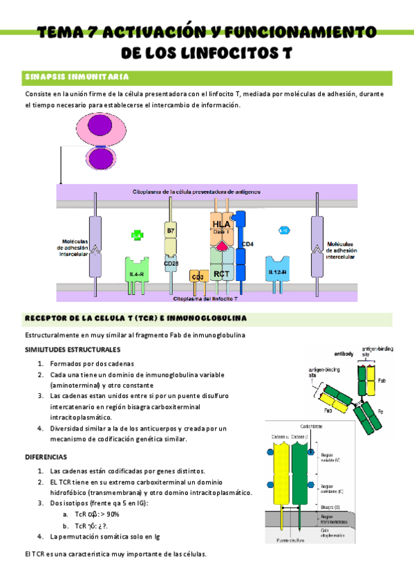 Miniatura del documento Inmunologia-T7.pdf