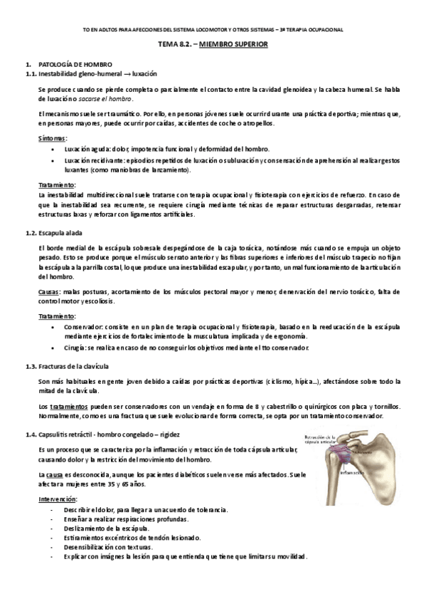 Miniatura del documento Tema-8.2.-Miembro-superior.pdf