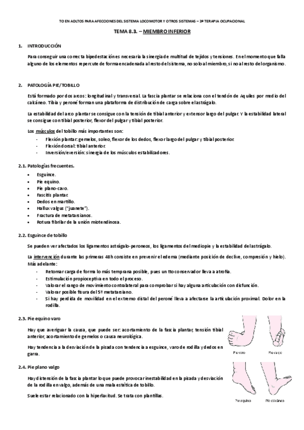 Miniatura del documento Tema-8.3.-Miembro-inferior.pdf