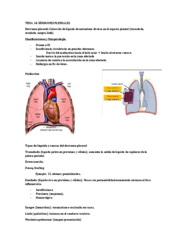 Miniatura del documento TEMA-18-FISIOPATOLOGOIA-DEL-SISTEMA-RESPIRATORIO.pdf