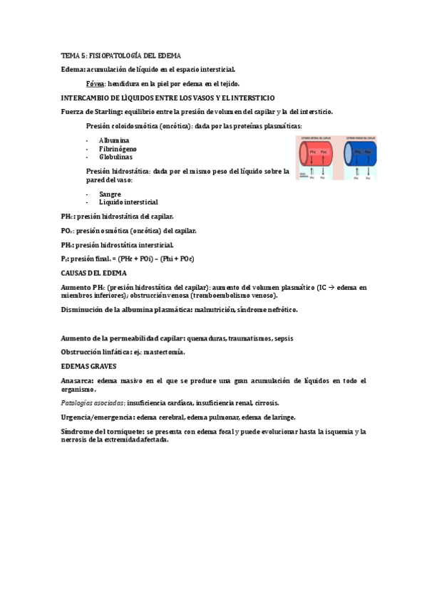 Miniatura del documento TEMA-5-FUNDAMENTOS-DE-LA-FISIOPATOLOGIA.pdf