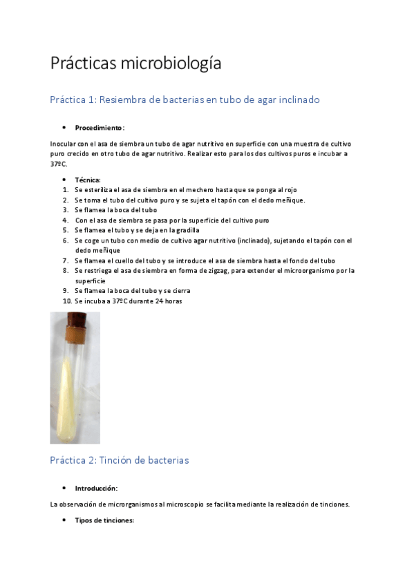 Miniatura del documento Practicas-microbiologia.pdf