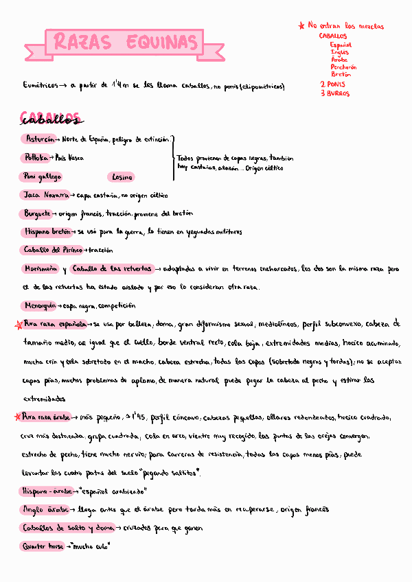Miniatura del documento Razas-equinas.pdf