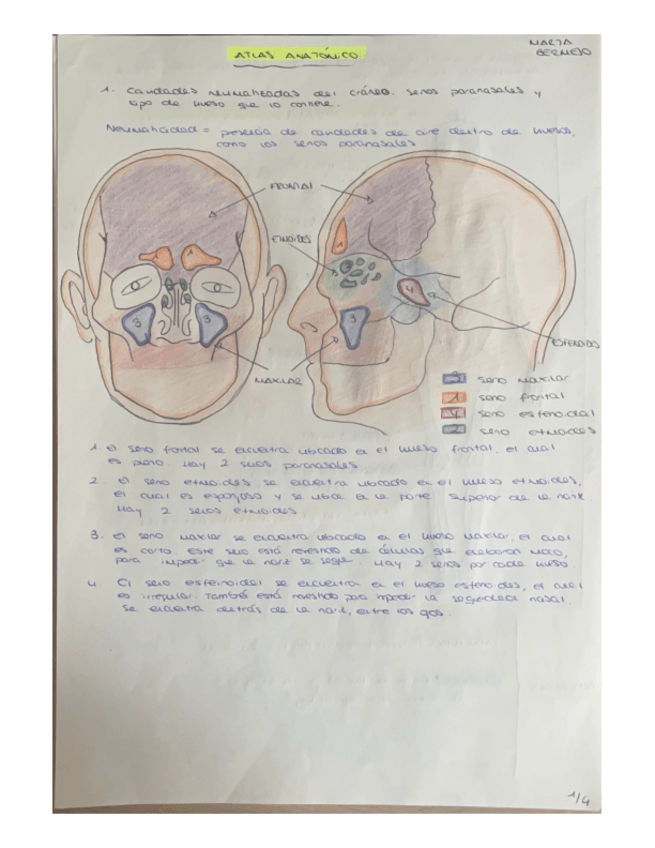 Miniatura del documento ATLAS ANATÓMICO.pdf