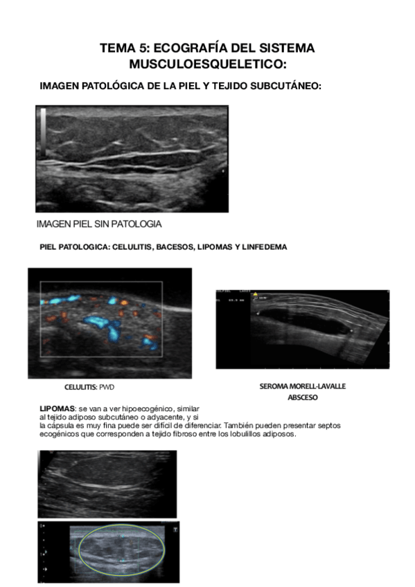 Miniatura del documento Tema-5.-Resumen.pdf