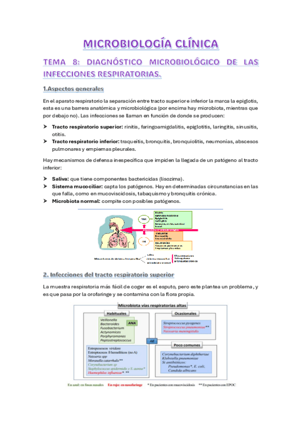 Miniatura del documento TEMA-8.-INFECCIONES-APARATO-RESPIRATORIO.pdf