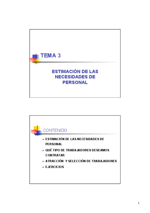 Miniatura del documento Tema-3-Estimacion-de-las-necesidades-de-personal.pdf