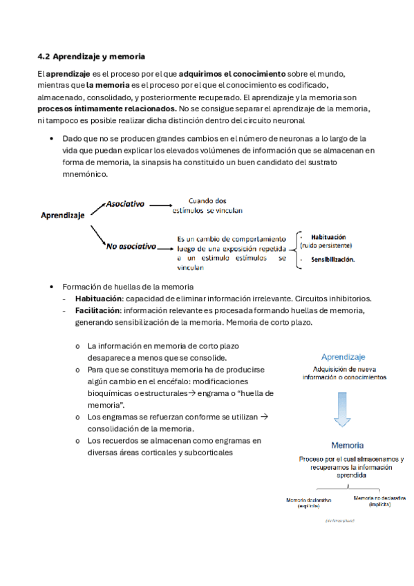 Miniatura del documento fisiologia-tema-3-la-parte-que-falta.pdf