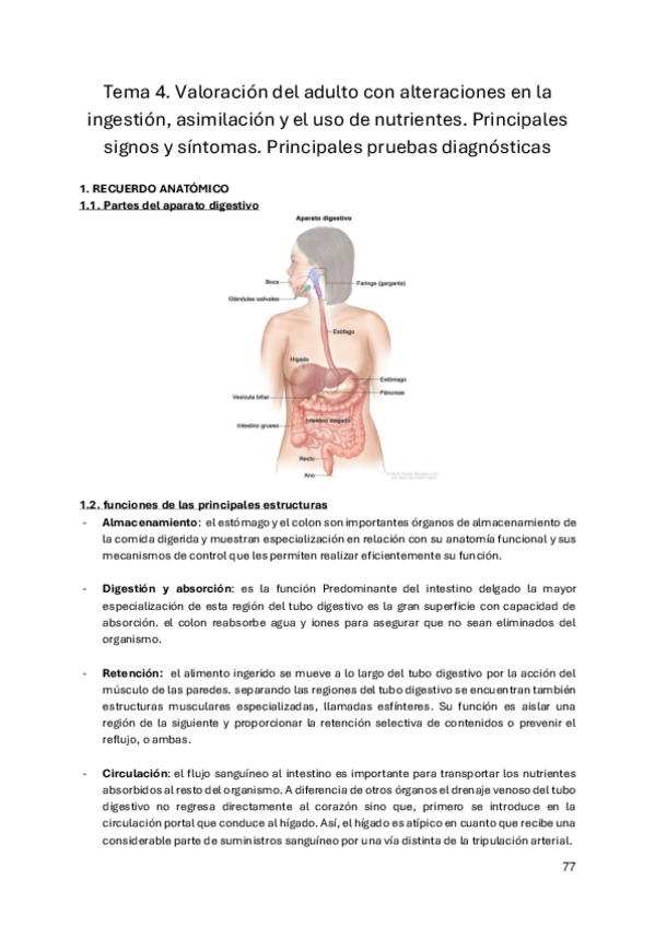 Miniatura del documento Bloque-2-Adulto-ll.pdf