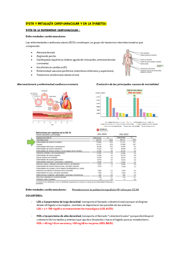 Miniatura del documento 3.-Dieta-y-patologia-cardiovascular-y-en-la-diabetes..pdf