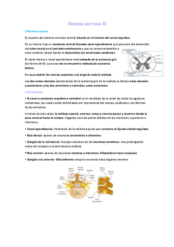 Miniatura del documento Sistema-nervioso-II.pdf
