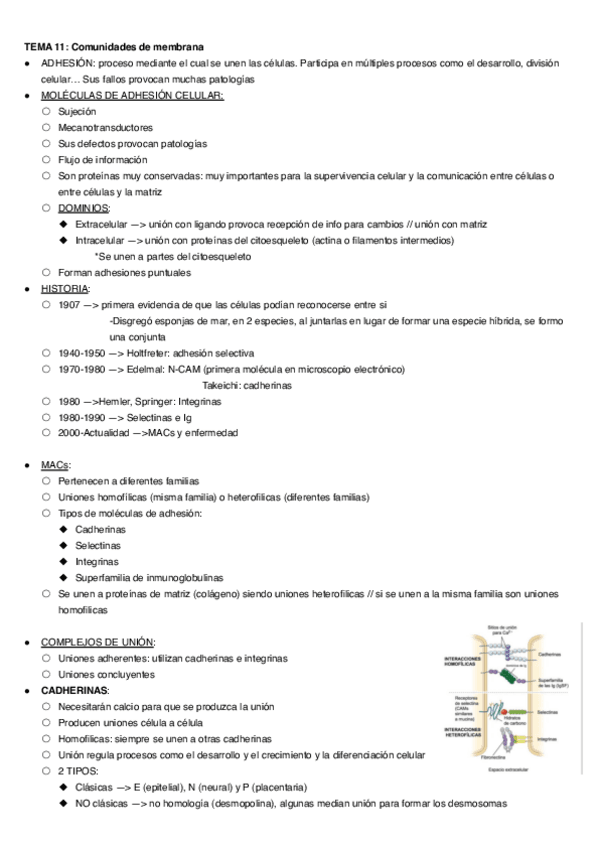 Miniatura del documento TEMA-11.pdf