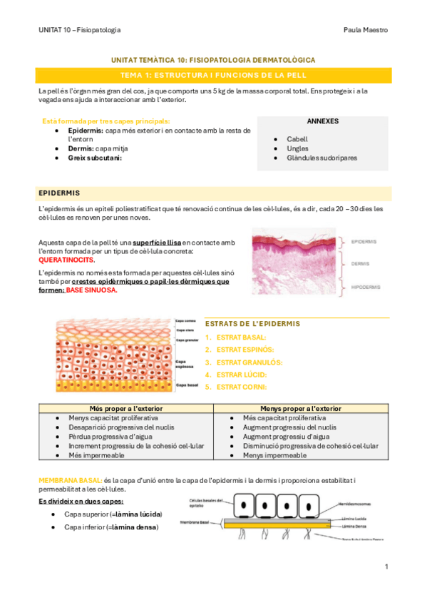 Miniatura del documento UNITAT-10.1-Fisiopatologia.pdf