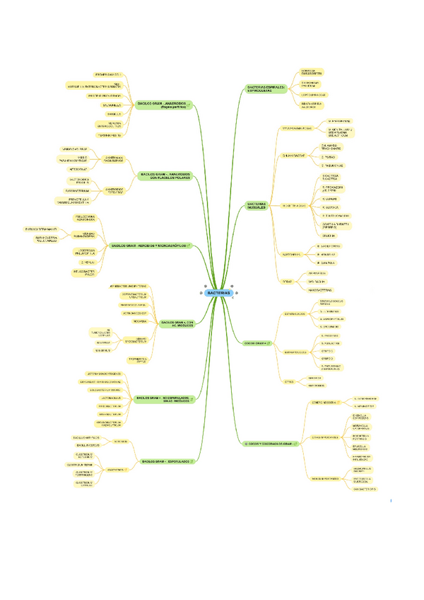 Miniatura del documento Esquema bacterias en blanco.pdf
