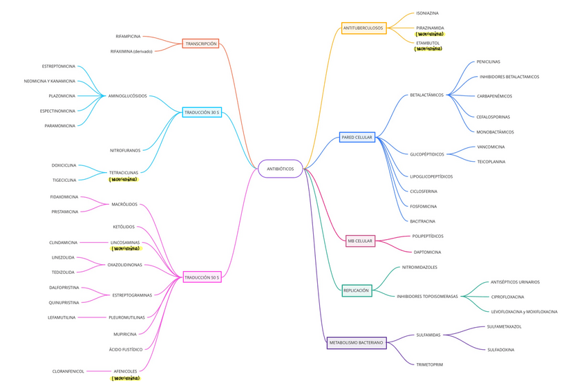 Miniatura del documento antibióticos esquema en blanco.pdf