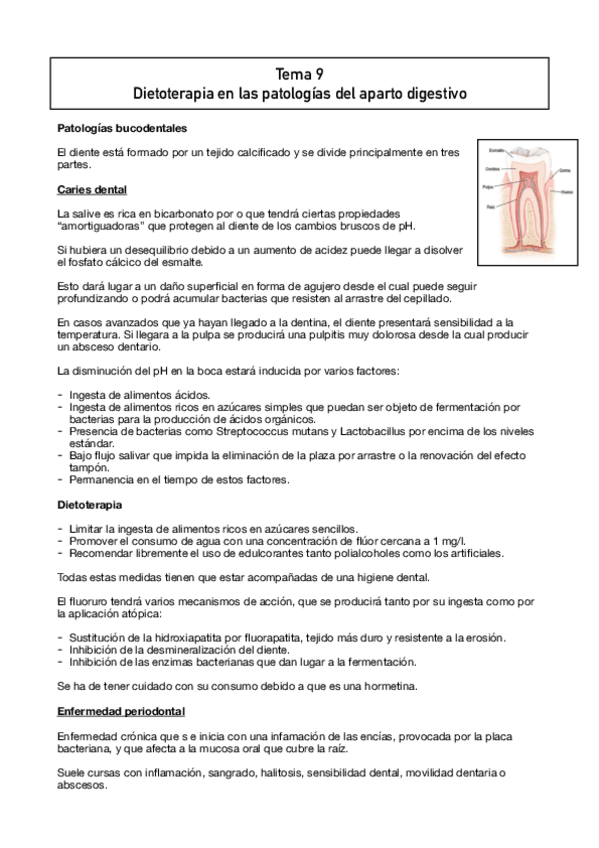 Miniatura del documento Dietoterapia-2-parte-del-temario.pdf