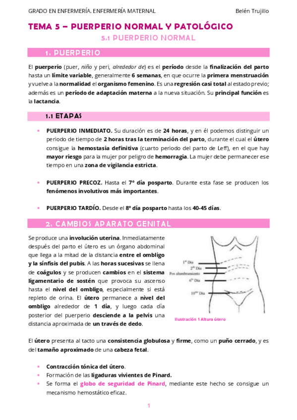 Miniatura del documento MATERNO-Tema5-Puerperio-1PuerperioNormal.pdf