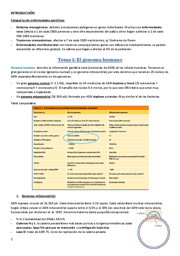 Miniatura del documento Tema-1-Genoma-humano.pdf