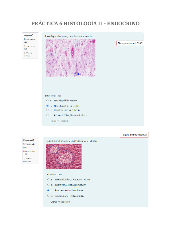 Miniatura del documento PRACTICA-6-HISTOLOGIA-II-ENDOCRINO.pdf