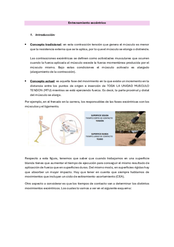 Miniatura del documento Entrenamiento-excentrico.pdf