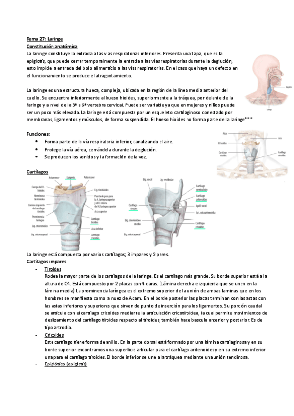 Miniatura del documento Tema-27.pdf