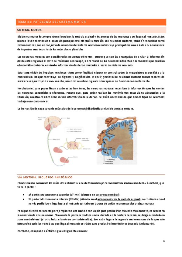 Miniatura del documento Tema-22.pdf