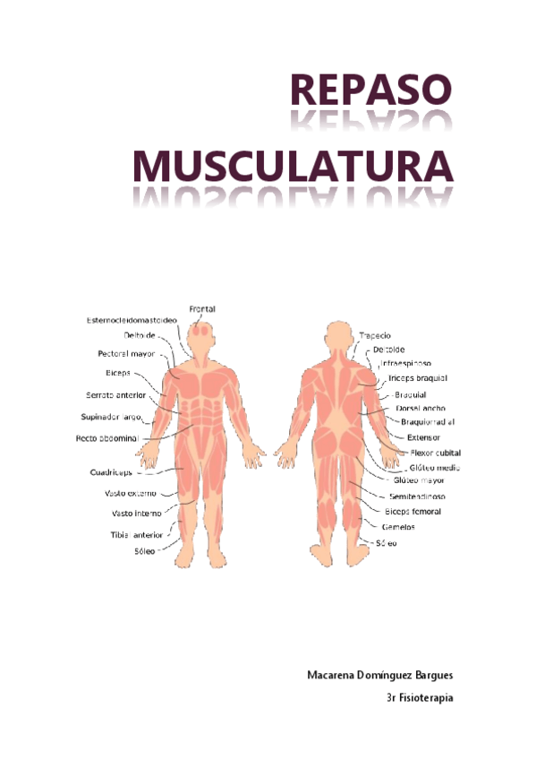 Miniatura del documento MÚSCULOS.pdf