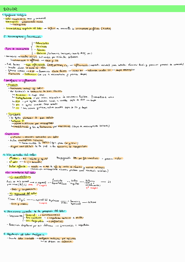 Miniatura del documento resumen-dolor.pdf
