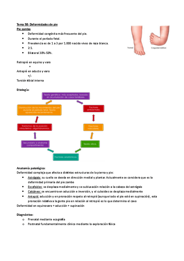 Miniatura del documento AMQ-Tema-50.pdf