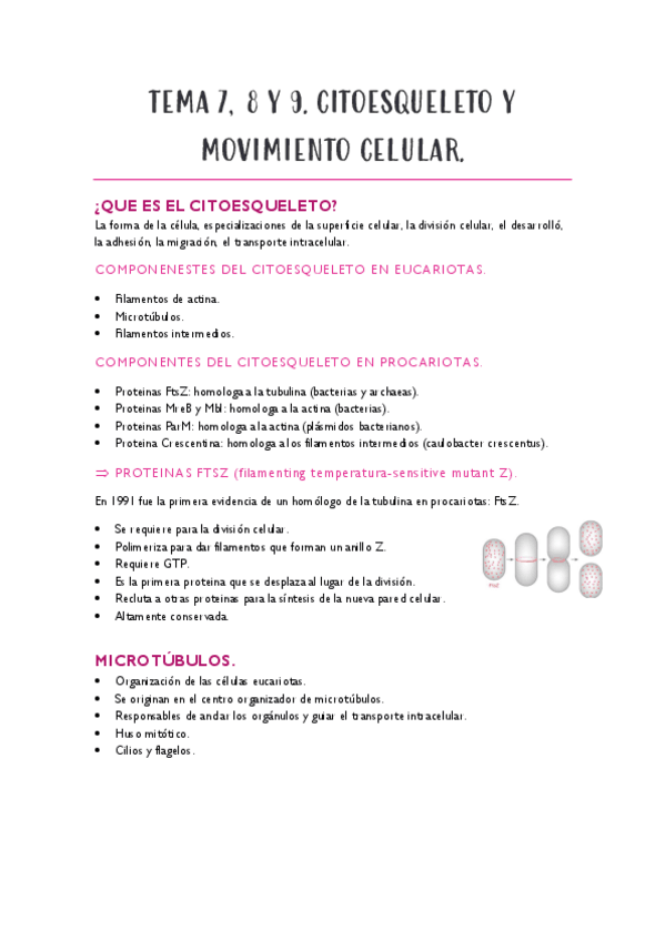 Miniatura del documento TEMA-7-8-y-9.pdf