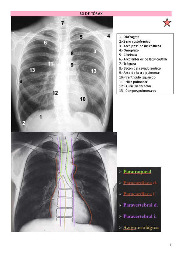 Miniatura del documento SeminariosRayos.pdf