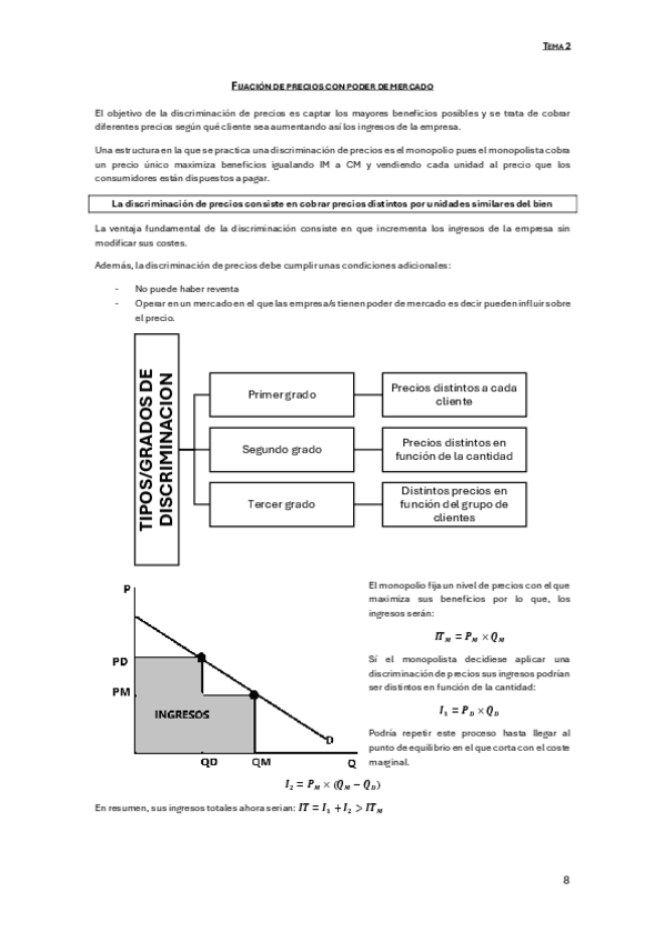 Miniatura del documento 02-Fijacion-de-precios-con-poder-de-mercado.pdf