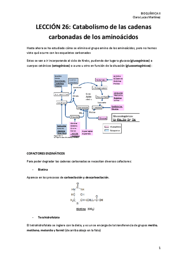 Miniatura del documento LECCION-26.-Metabolismo-de-las-cadenas-carbonadas-de-los-aminoacidos.pdf