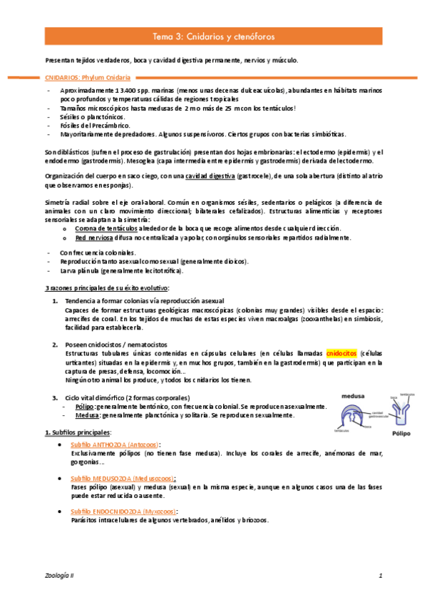 Miniatura del documento Tema-3. Zoo II.pdf