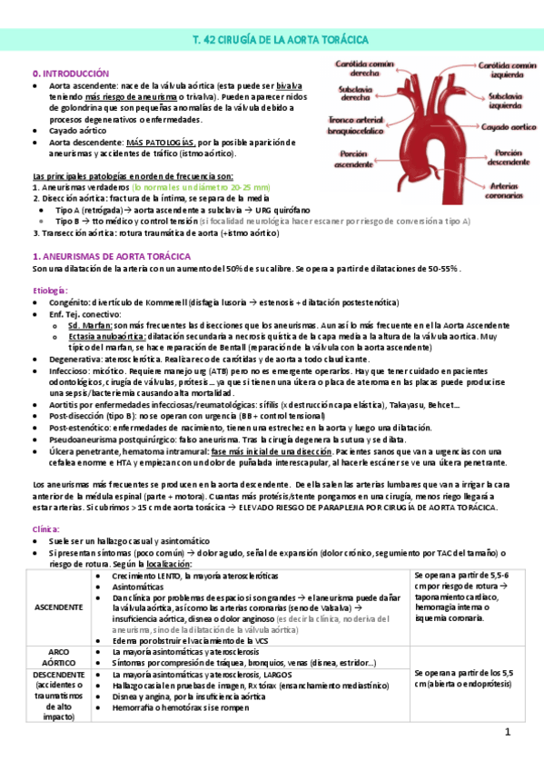 Miniatura del documento T.-42-CIRUGIA-DE-LA-AORTA-TORACICA.pdf