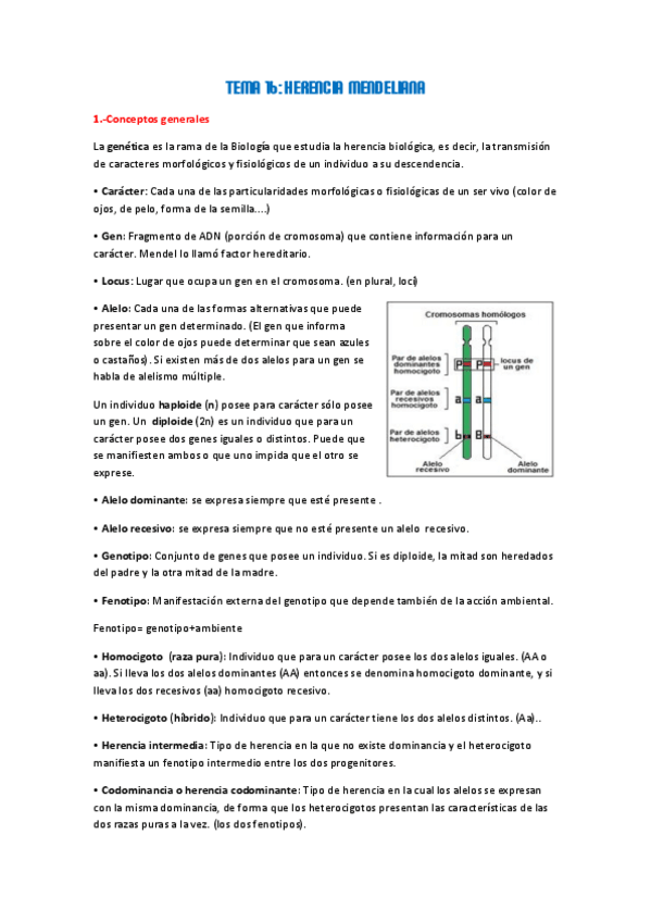 Miniatura del documento TEMA-16-Herencia-mendeliana.pdf