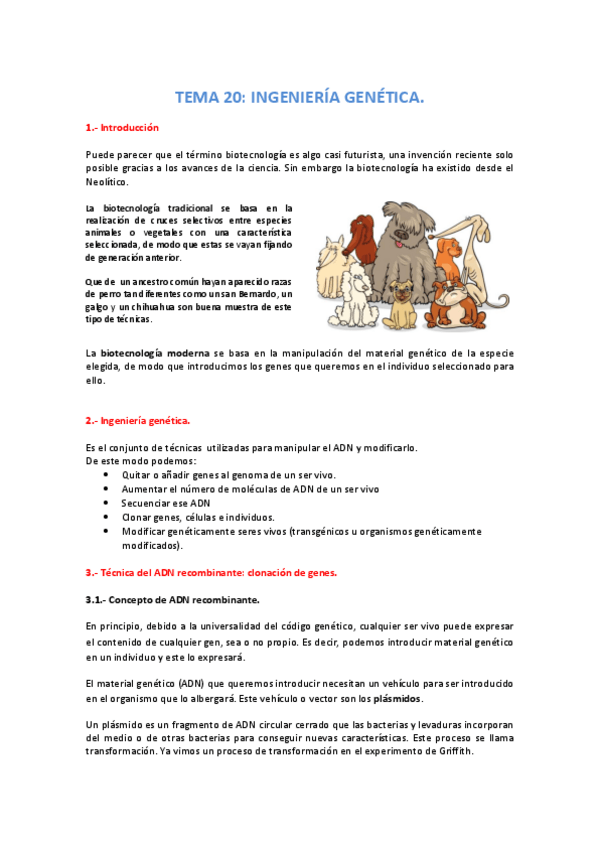 Miniatura del documento TEMA-20-Ingenieria-genetica.pdf
