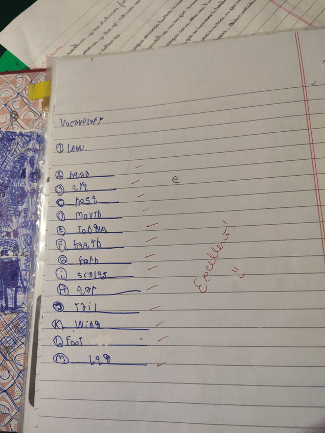 Miniatura del documento 1714000489750759802548381095093.jpg