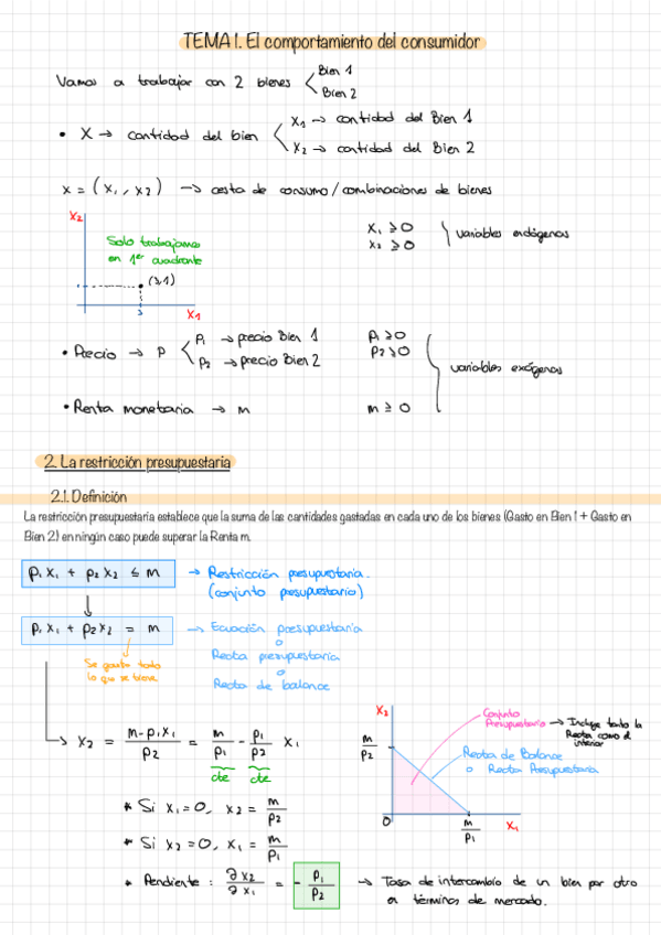 Miniatura del documento Apuntes-Tema-1-Clase.pdf