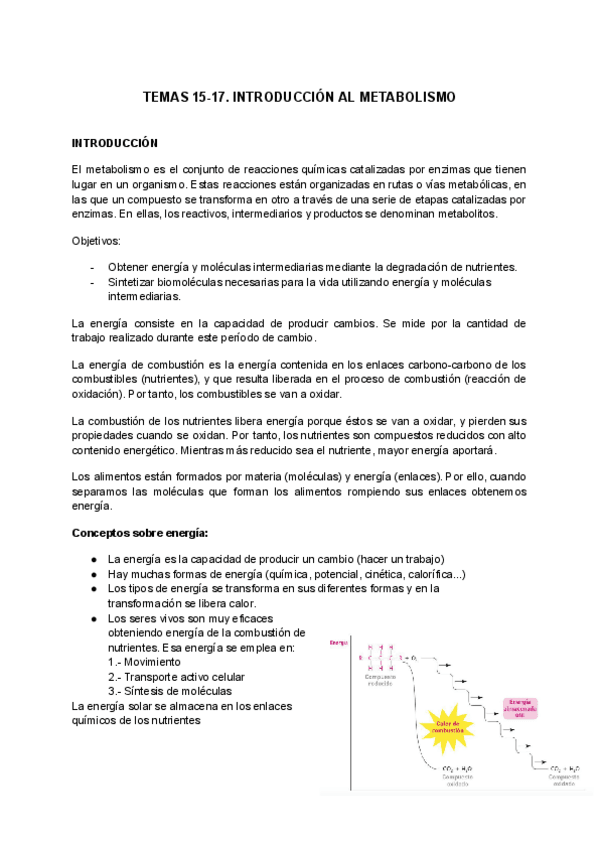 Miniatura del documento TEMAS-15-17.-COMPLETO-introduccion-al-metabolismo.pdf