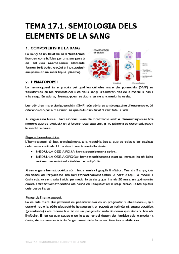 Miniatura del documento tema-17.1.-semiologia-dels-elements-de-la-sang.pdf