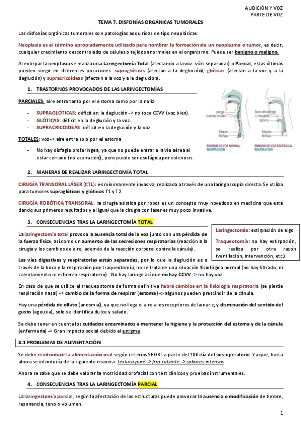 Miniatura del documento TEMA-7-Voz.pdf