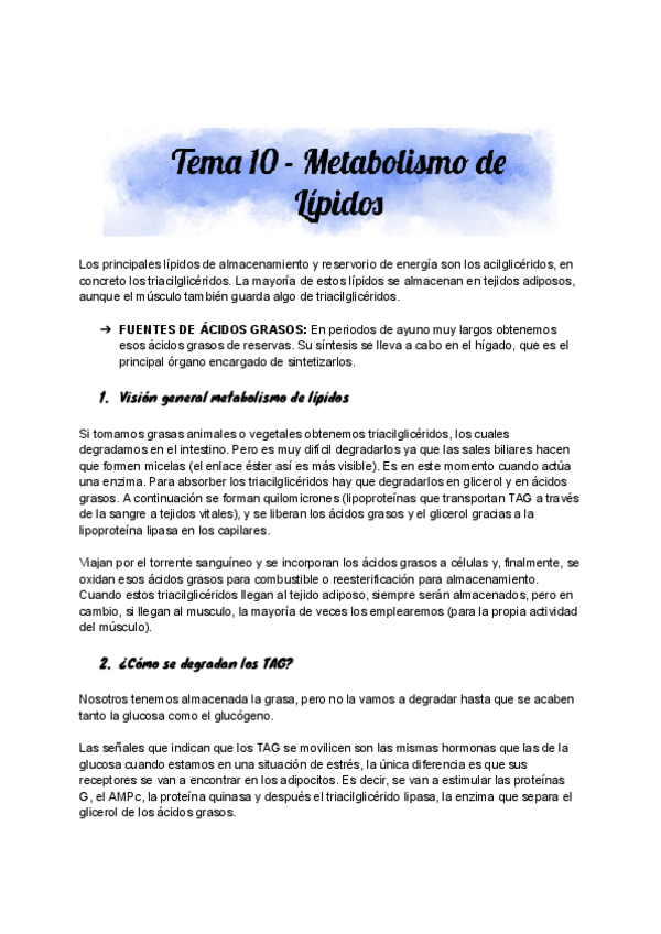 Miniatura del documento Tema-10-Metabolismo-de-Lipidos.pdf