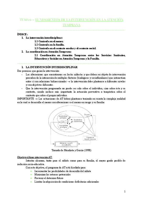 Miniatura del documento TEMA-6-FUNDAMENTOS-DE-LA-INTERVENCION-EN-LA-ATENCION-TEMPRANA.pdf