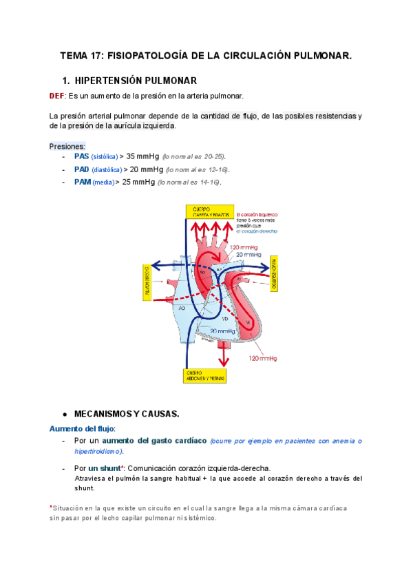 Miniatura del documento TEMA-17-FISIOPATOLOGIA-DE-LA-CIRCULACION-PULMONAR.pdf