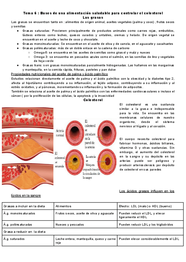 Miniatura del documento Tema-6-colesterol.pdf