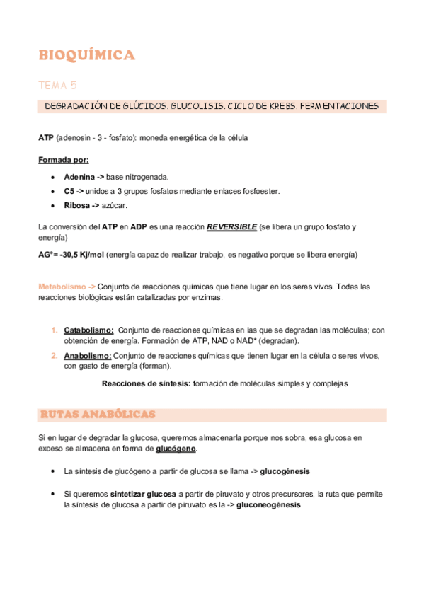 Miniatura del documento bioquimica-tema-5-y-6.pdf