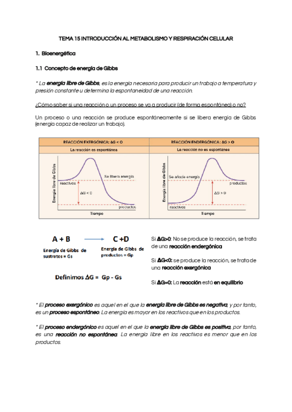 Miniatura del documento TEMA-15-INTRODUCCION-AL-METABOLISMO-Y-RESPIRACION-CELULAR.pdf