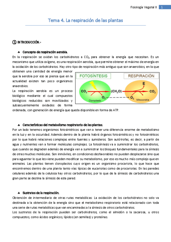 Miniatura del documento Tema 4. La respiración de las plantas.pdf